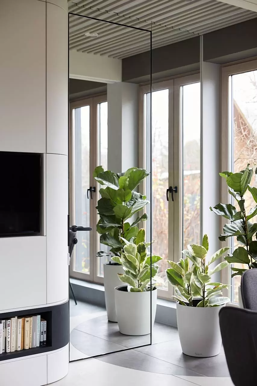 kukhnya-gostinaya-s-drevom-zhizni 2