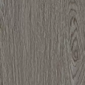 Серый дуб шелковистый