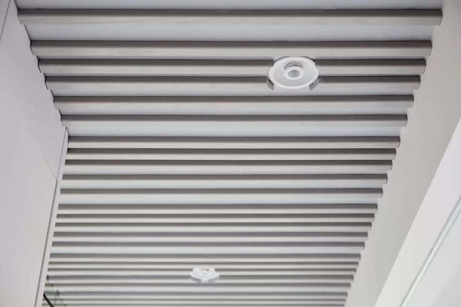 kukhnya-gostinaya-s-drevom-zhizni-11